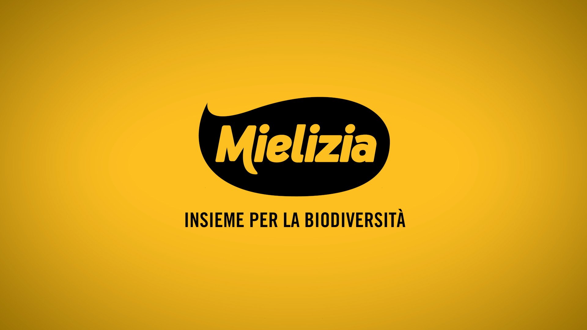 Mielizia