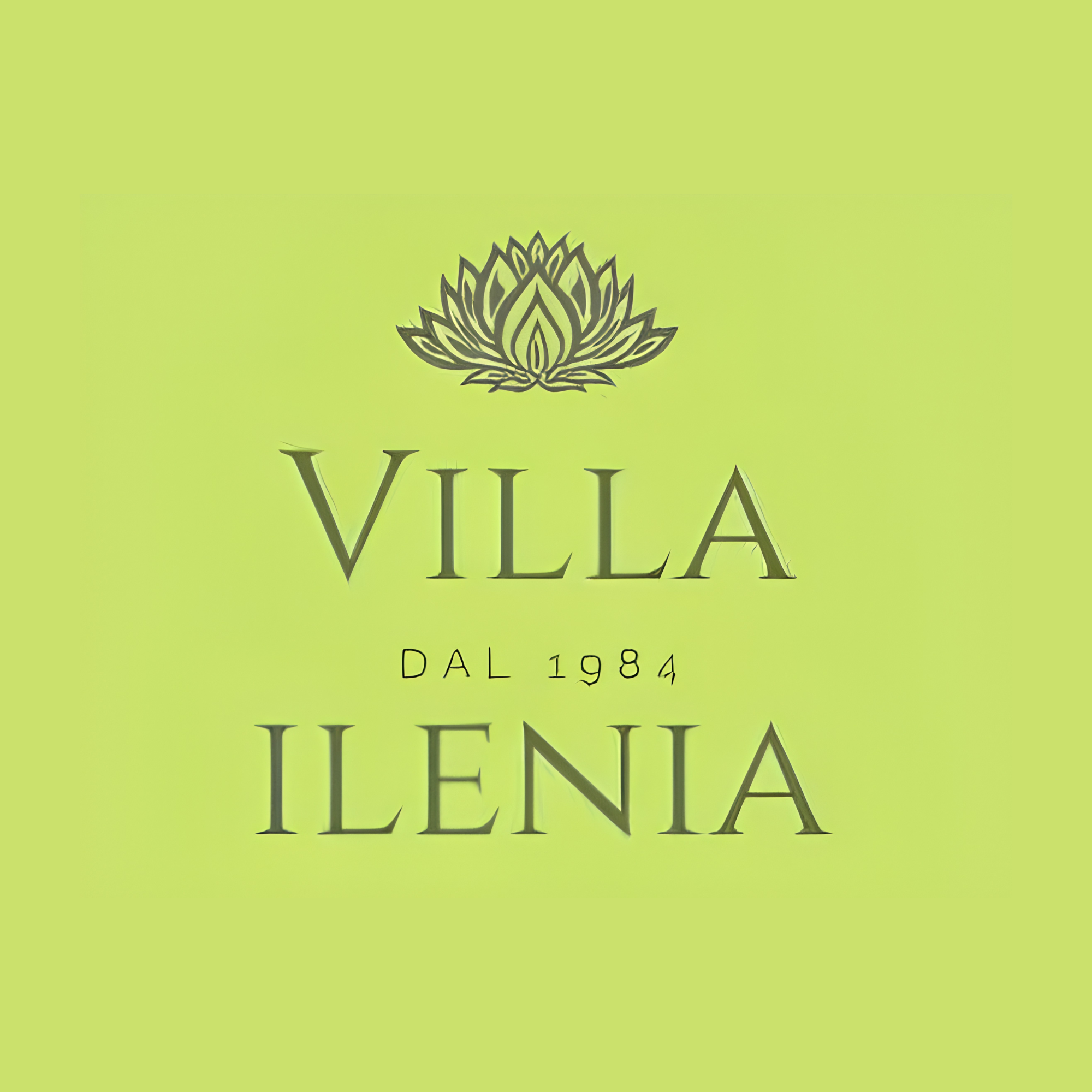 Villa Ilenia Casa di Riposo 